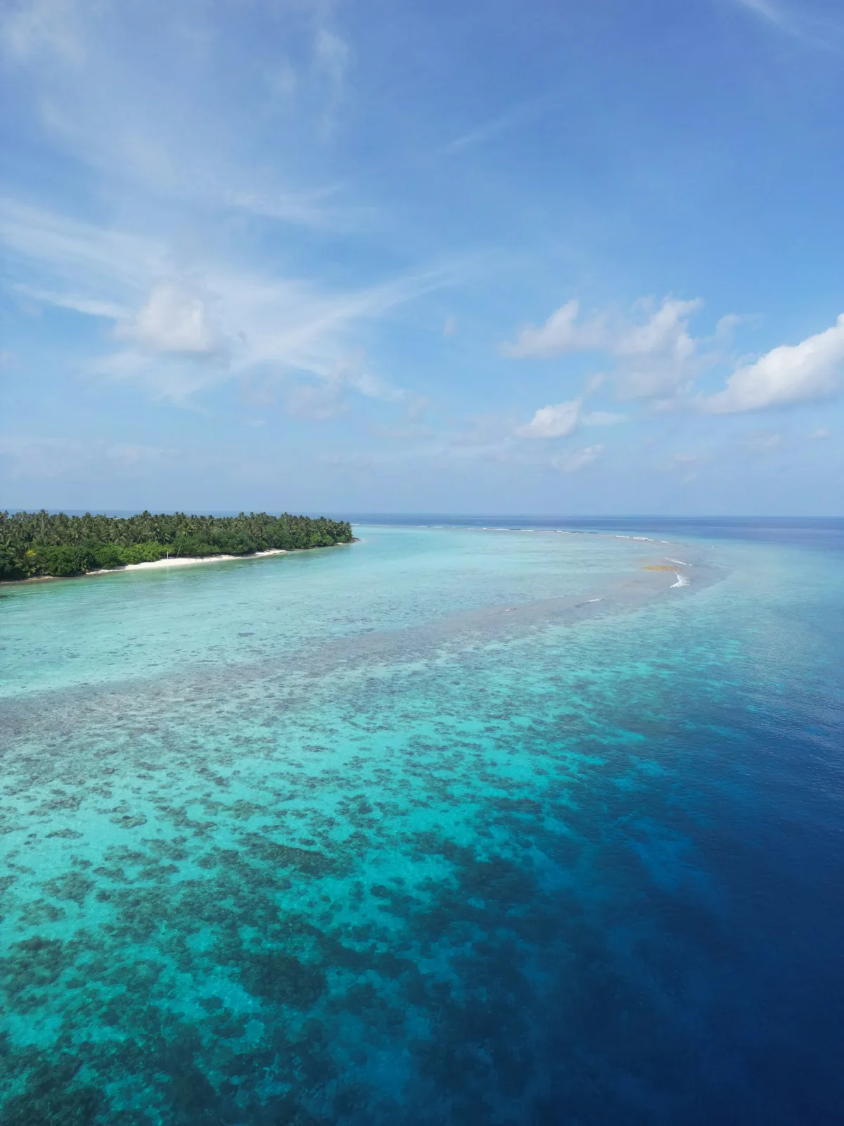 Thoddoo’s reef and palm-lined coast from above